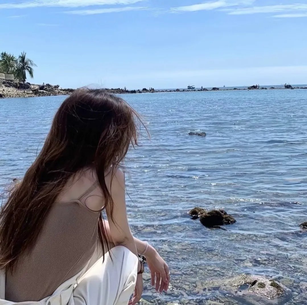翼龙